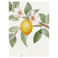Sir Edward Lemon Tree Chinoiserie White W13373