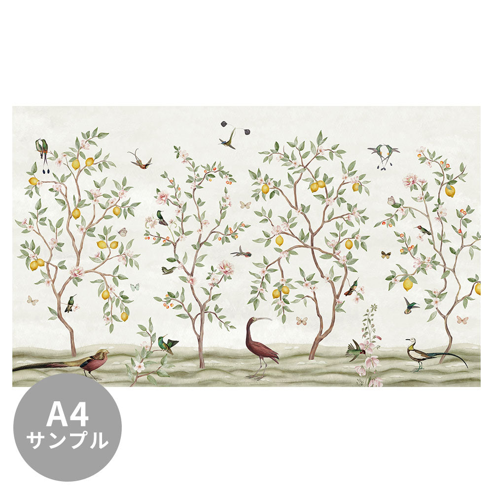 【サンプル】はがせるミューラル壁紙 のりなし Sir Edward Lemon Tree Chinoiserie White W13373