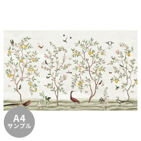 【サンプル】はがせるミューラル壁紙 のりなし Sir Edward Lemon Tree Chinoiserie White W13373