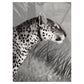 Sir Edward Leopard Landscape Black and White W13374