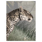 Sir Edward Leopard Landscape Green W13375