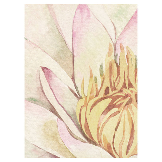 Sir Edward Lovely Water Lilies W13377