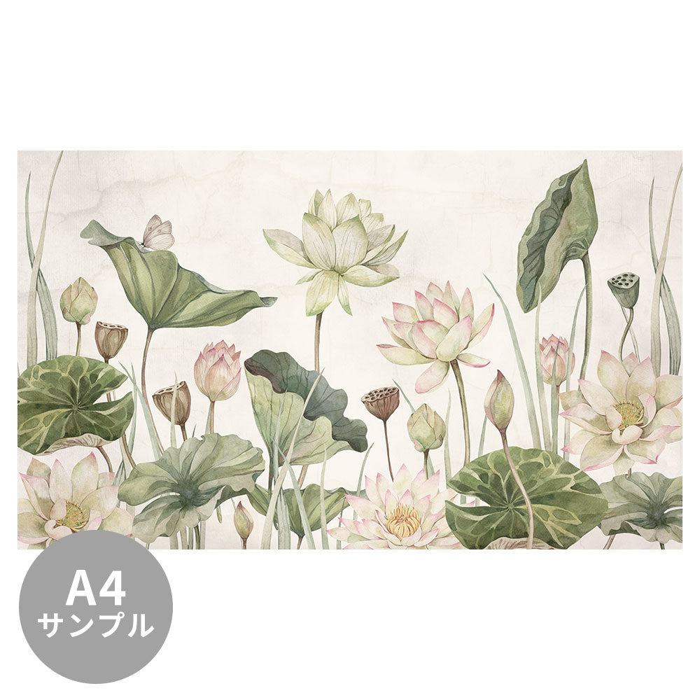 【サンプル】はがせるミューラル壁紙 のりなし Sir Edward Lovely Water Lilies W13377