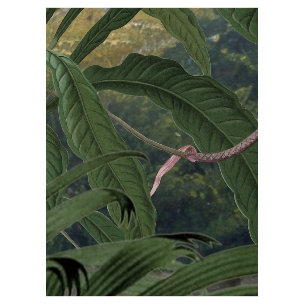 Sir Edward Monkey Sanctuary W13378