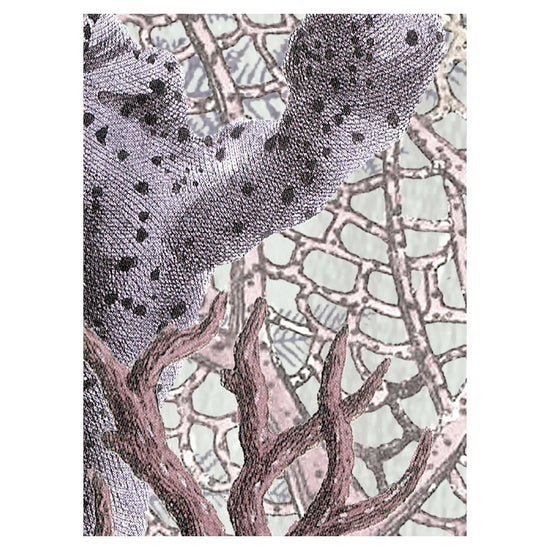 Sir Edward Ocean Wonders W13379