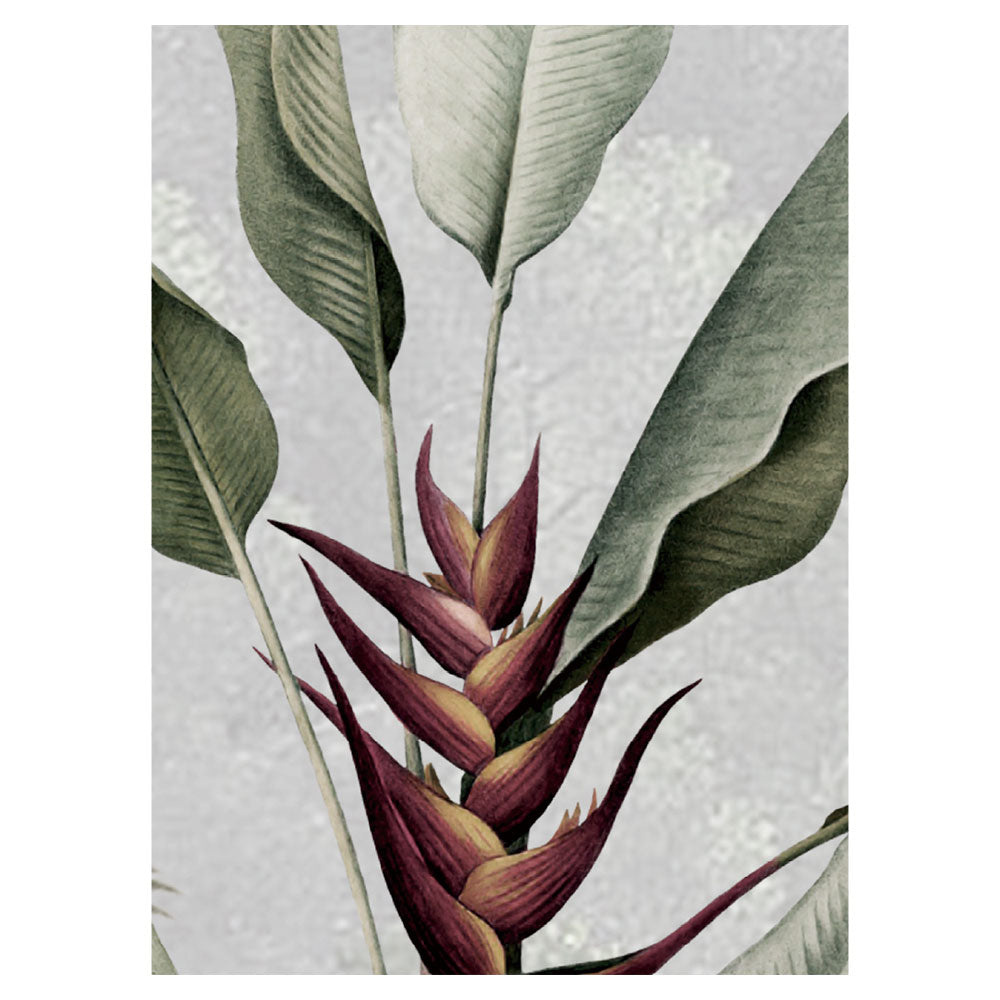 Sir Edward Tropical Tiger W13382