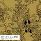 【サンプル】柳生忠平 踊る猫又 からし NWZ-ONYW