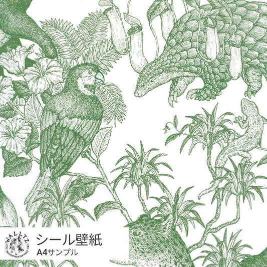 【サンプル】はがせる壁紙 シールタイプ WALLTZ ウォルツ 村山大明 Tropical rainforest Double Green TWZ-TFDGR