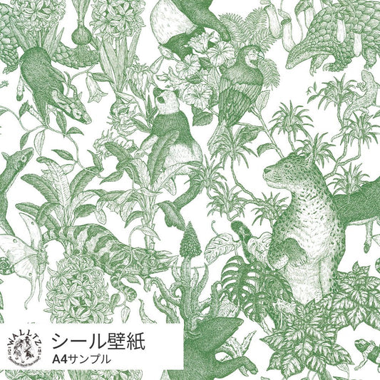 【サンプル】はがせる壁紙 シールタイプ WALLTZ ウォルツ 村山大明 Tropical rainforest Green TWZ-TFGR