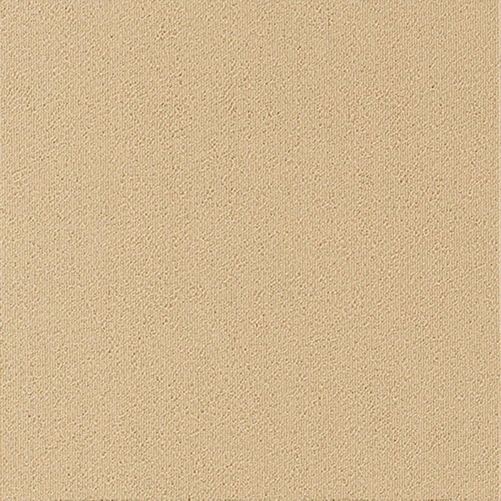 【サンプル】業務用タイルカーペット サンゲツ NT350 NT-350シリーズ NT-35001 のりなし 中歩行 制電 土足OK オフィス