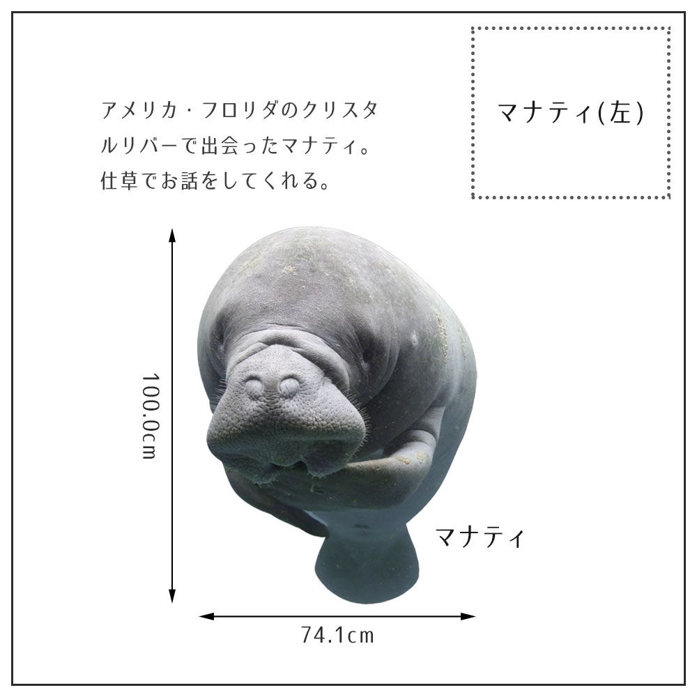 【鍵井 靖章 Yasuaki Kagii】海の生き物ステッカー Sea creatures L マナティ(左向き)