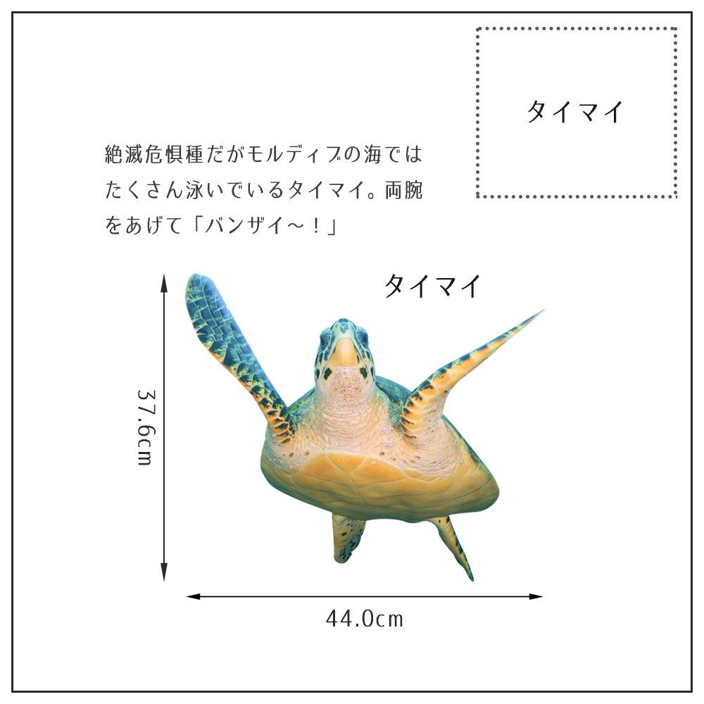 【鍵井 靖章 Yasuaki Kagii】海の生き物ステッカー Sea creatures M タイマイ