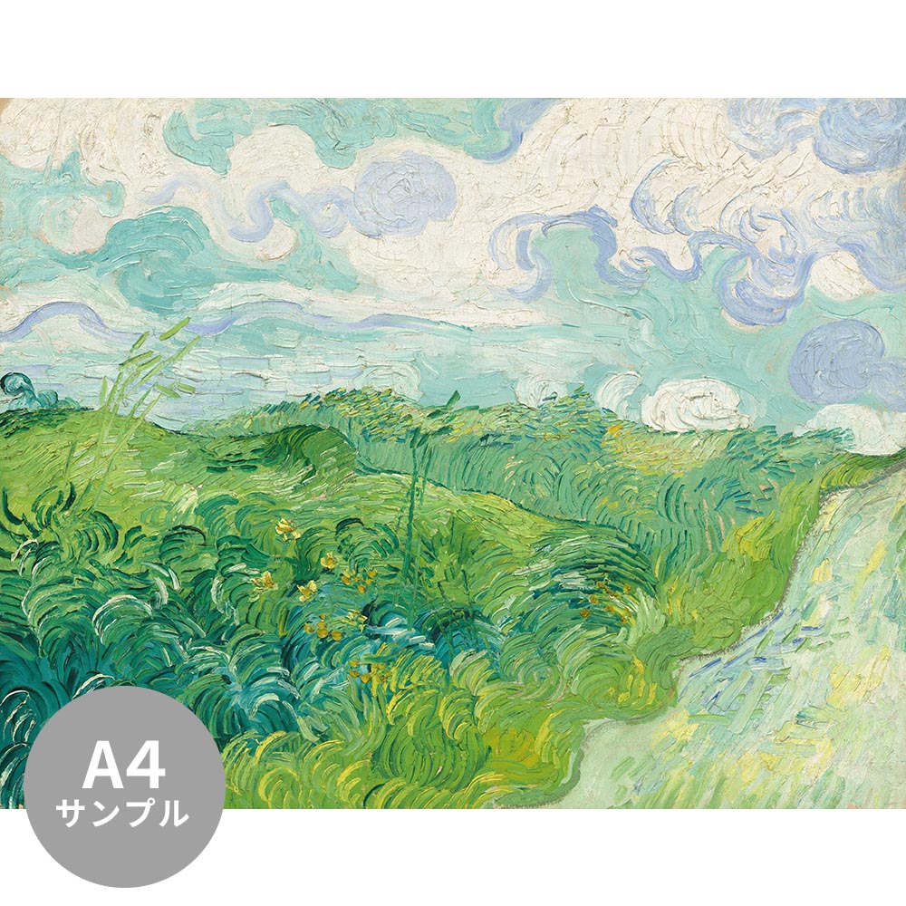 【サンプル】はがせるミューラル壁紙 シールタイプ ゴッホ 緑の麦畑、オーヴェール TSO-S00027