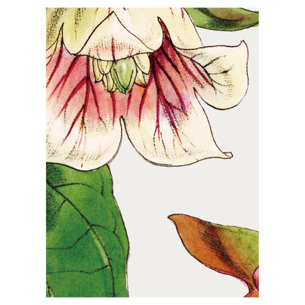 A4サンプルイメージ