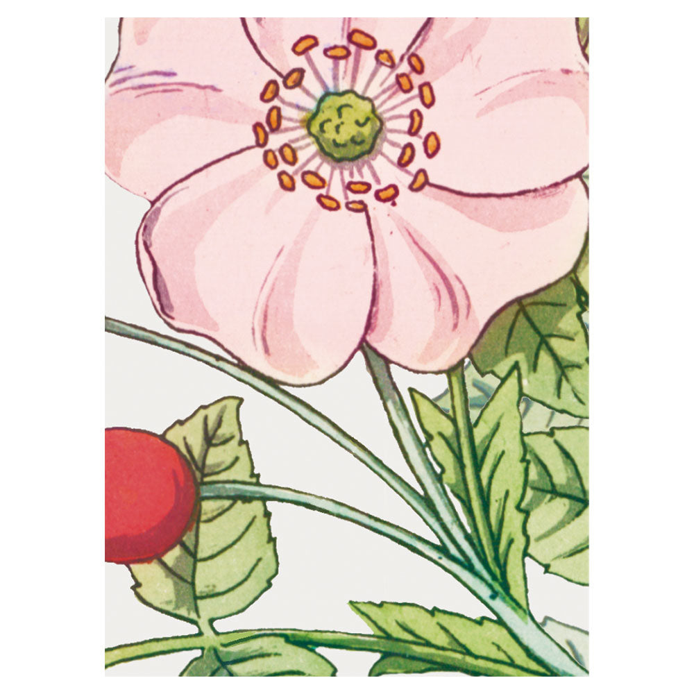 A4サンプルイメージ