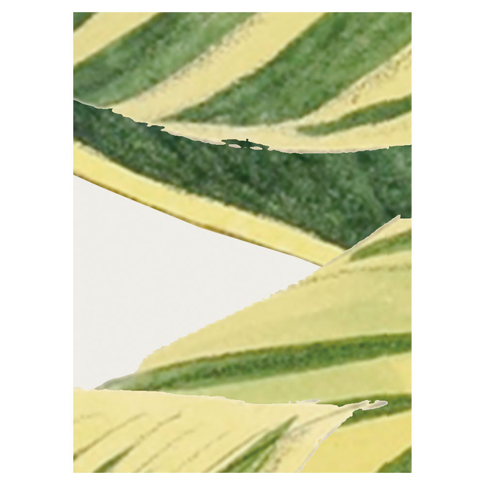 A4サンプルイメージ