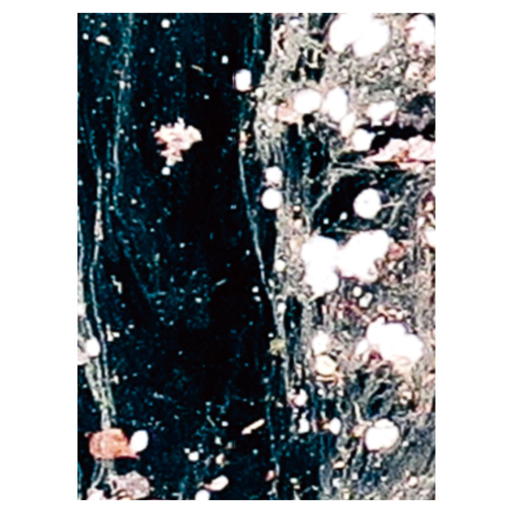 A4サンプルイメージ