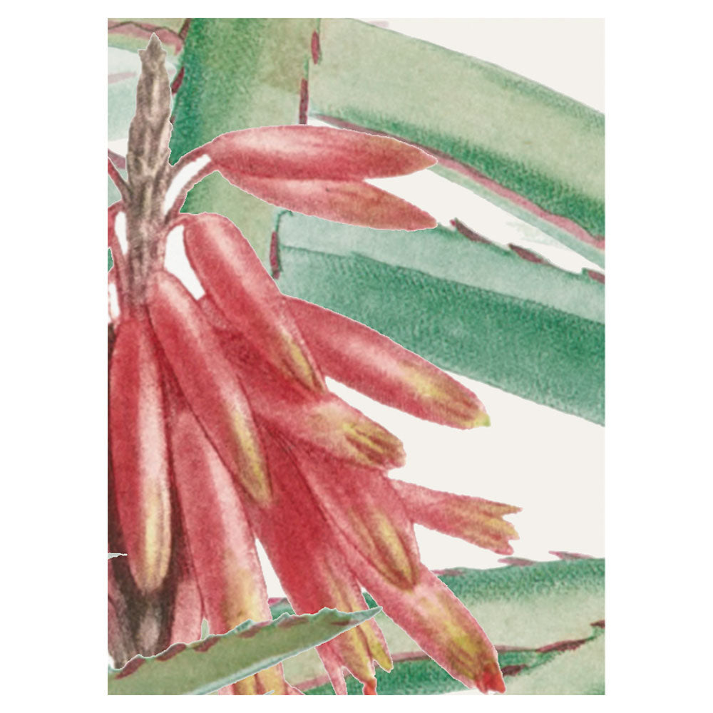 A4サンプルイメージ