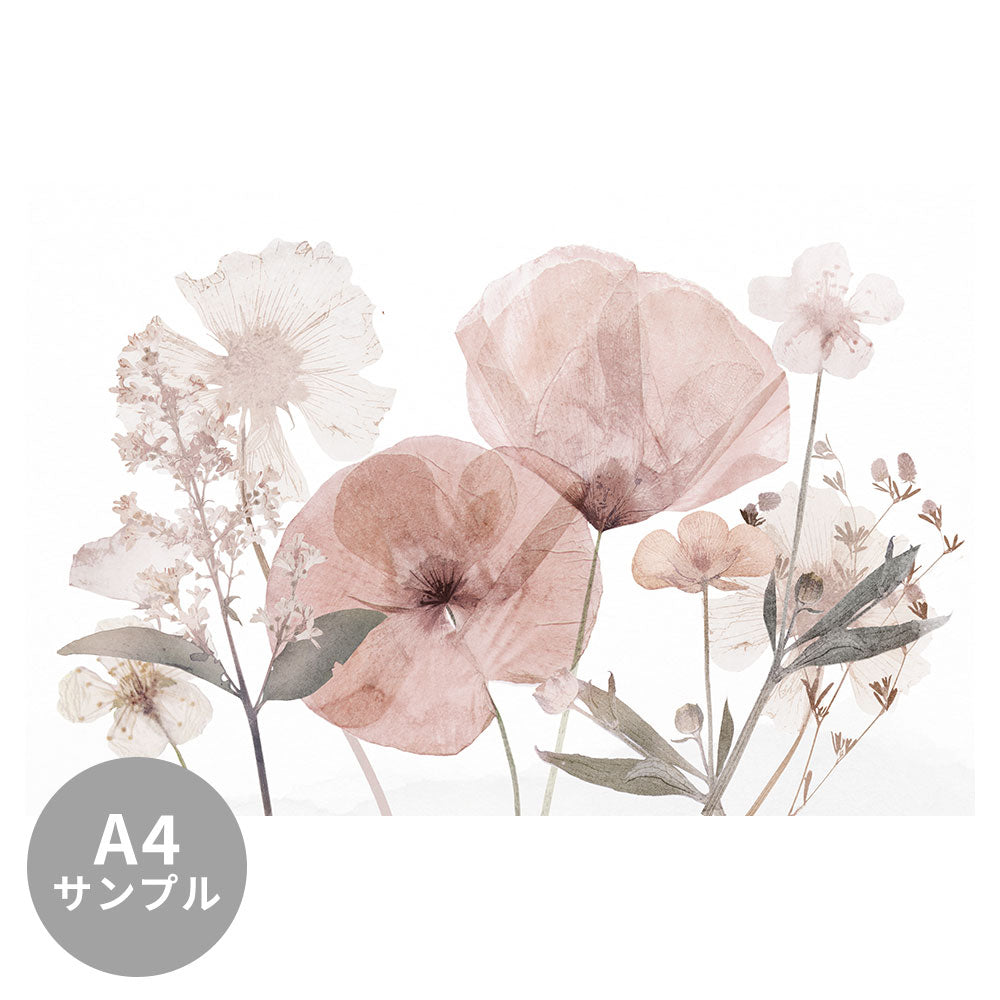 A4サンプル