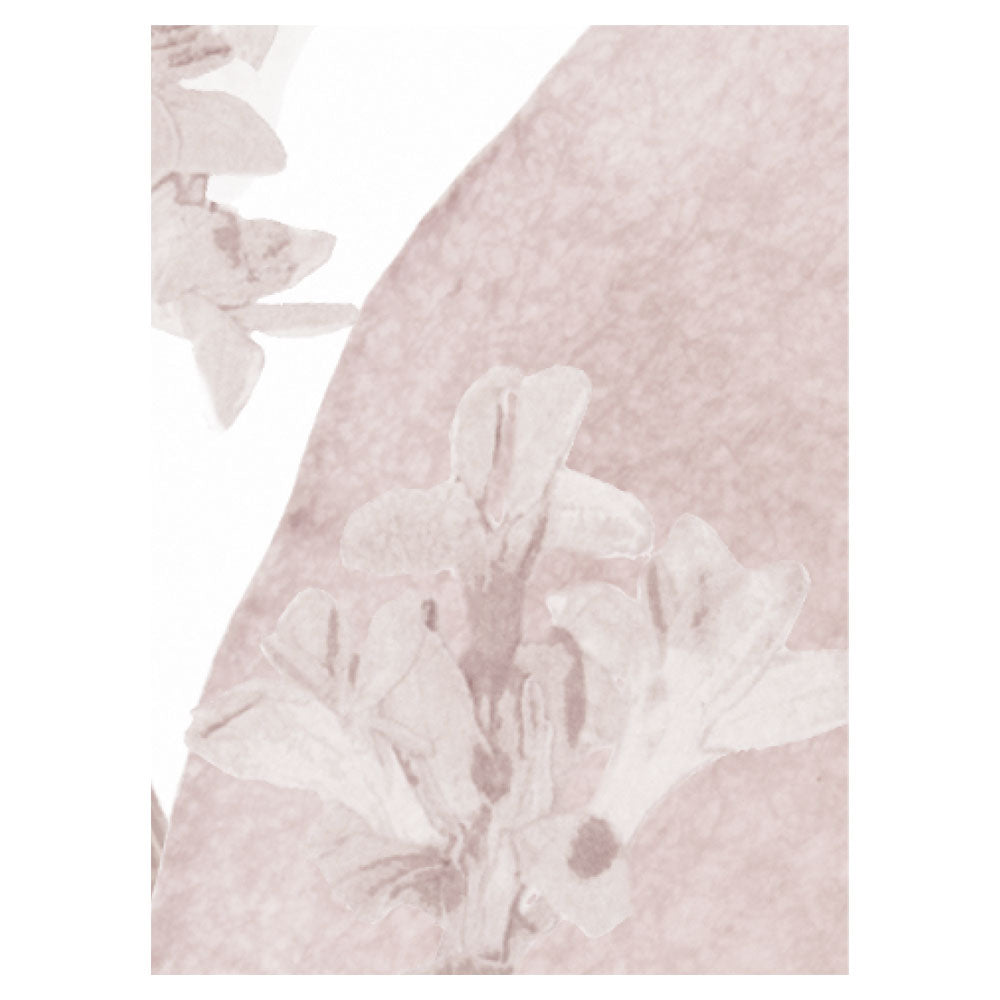 A4サンプルイメージ