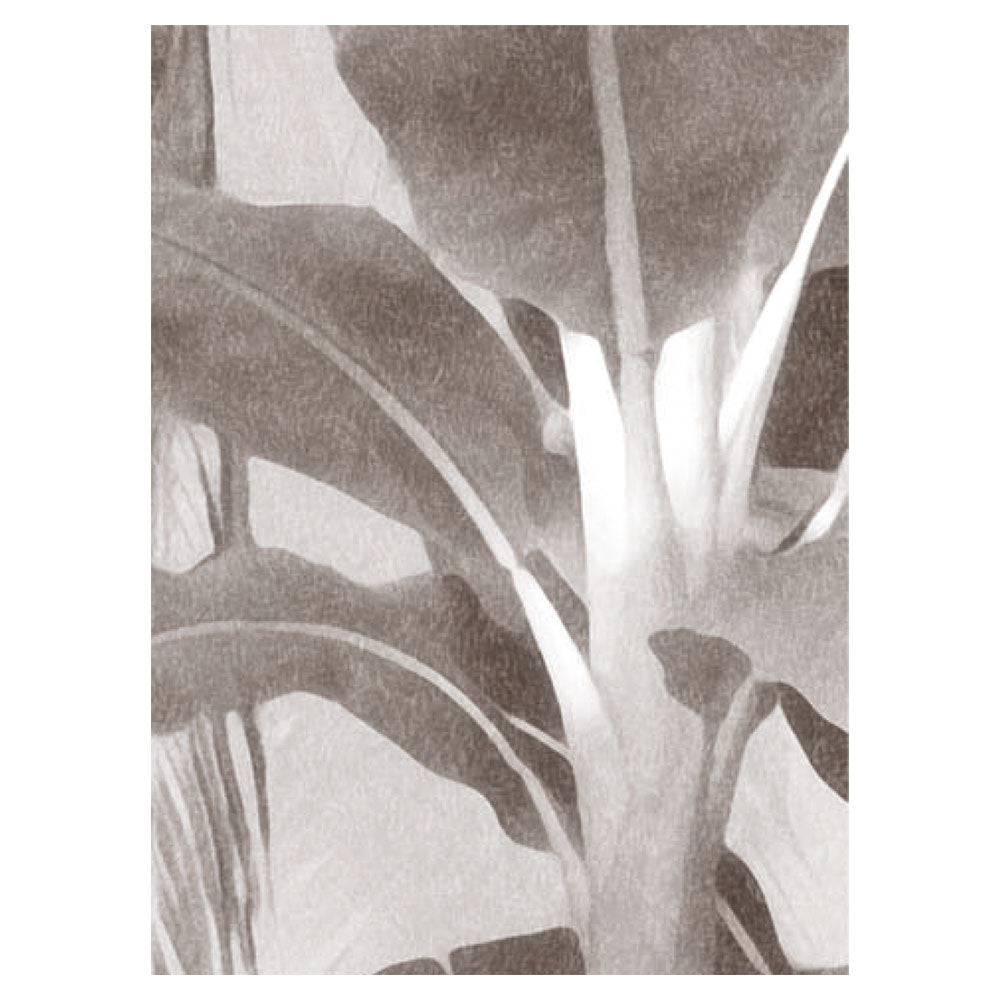 A4サンプルイメージ