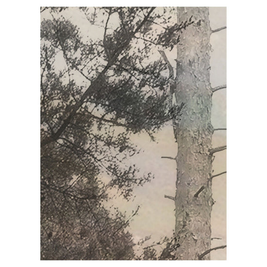 A4サンプルイメージ