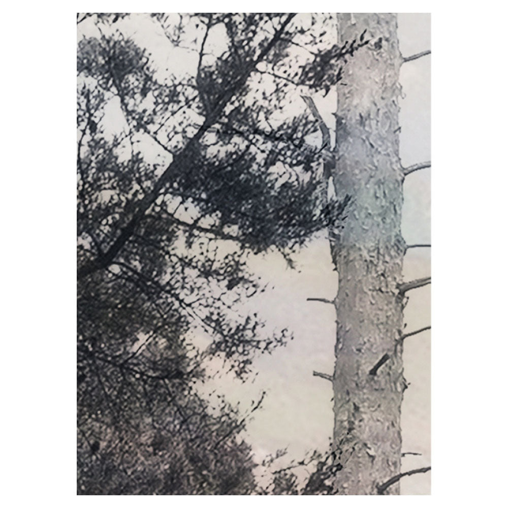 A4サンプルイメージ