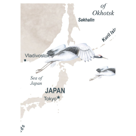 A4サンプルイメージ