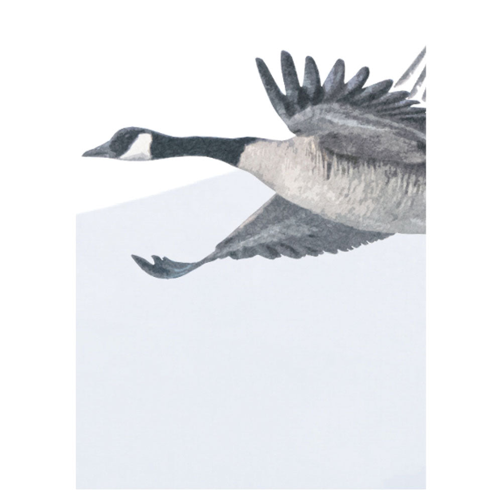 A4サンプルイメージ