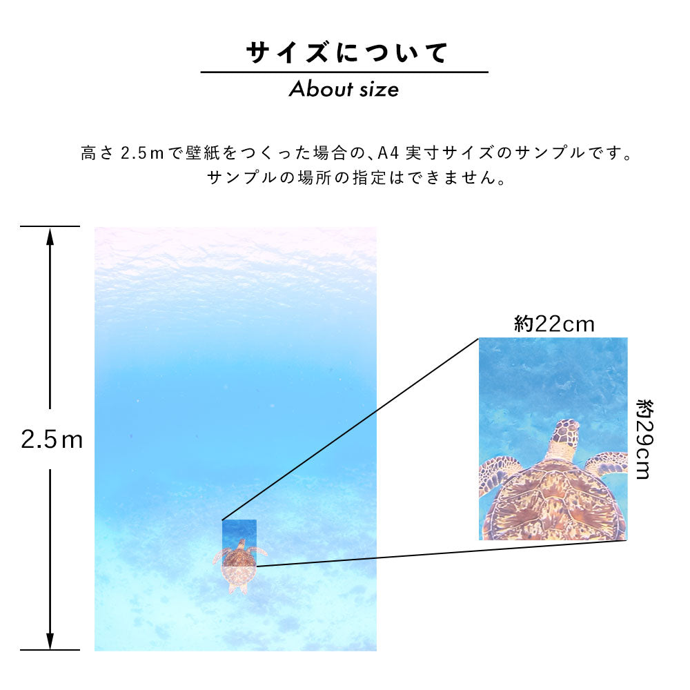 【サンプル】はがせるミューラル壁紙 のりなし 海の景色壁紙  鍵井靖章 マダラトビエイ（サイパン） NSO-K00008