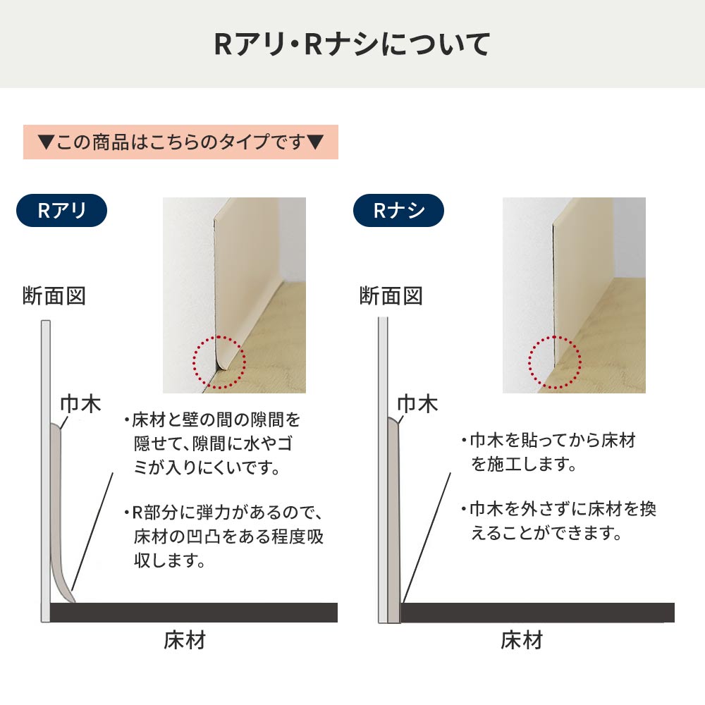 Rアリ・ナシについて