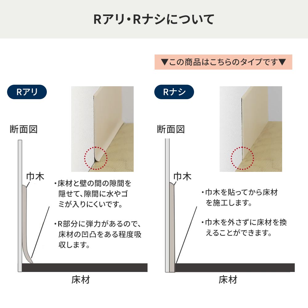 Rアリ・ナシについて