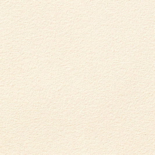 SGK-001 壁紙 のりなし クロス / サンゲツ / エクセレクト 【サンプル】