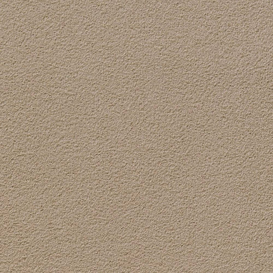 SGK-005 壁紙 のりなし クロス / サンゲツ / エクセレクト 【サンプル】