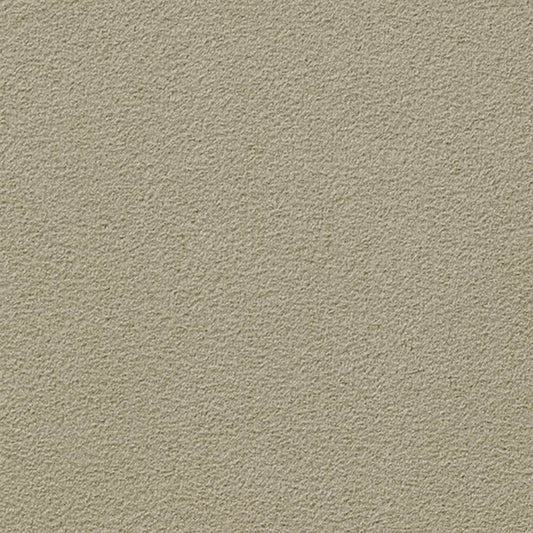 SGK-009 壁紙 のりなし クロス / サンゲツ / エクセレクト 【サンプル】