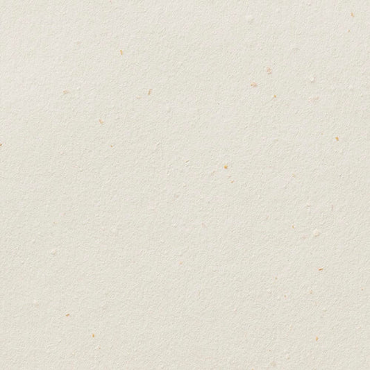 SGM-1032 壁紙 のりなし クロス / サンゲツ / エクセレクト 【サンプル】