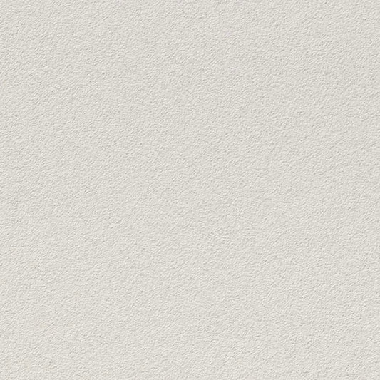 SGM-1078 壁紙 のりなし クロス / サンゲツ / エクセレクト 【サンプル】