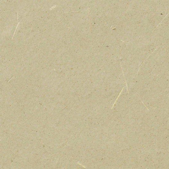 SGM-1102 壁紙 のりなし クロス / サンゲツ / エクセレクト 幅92cm 【1m単位切り売り】