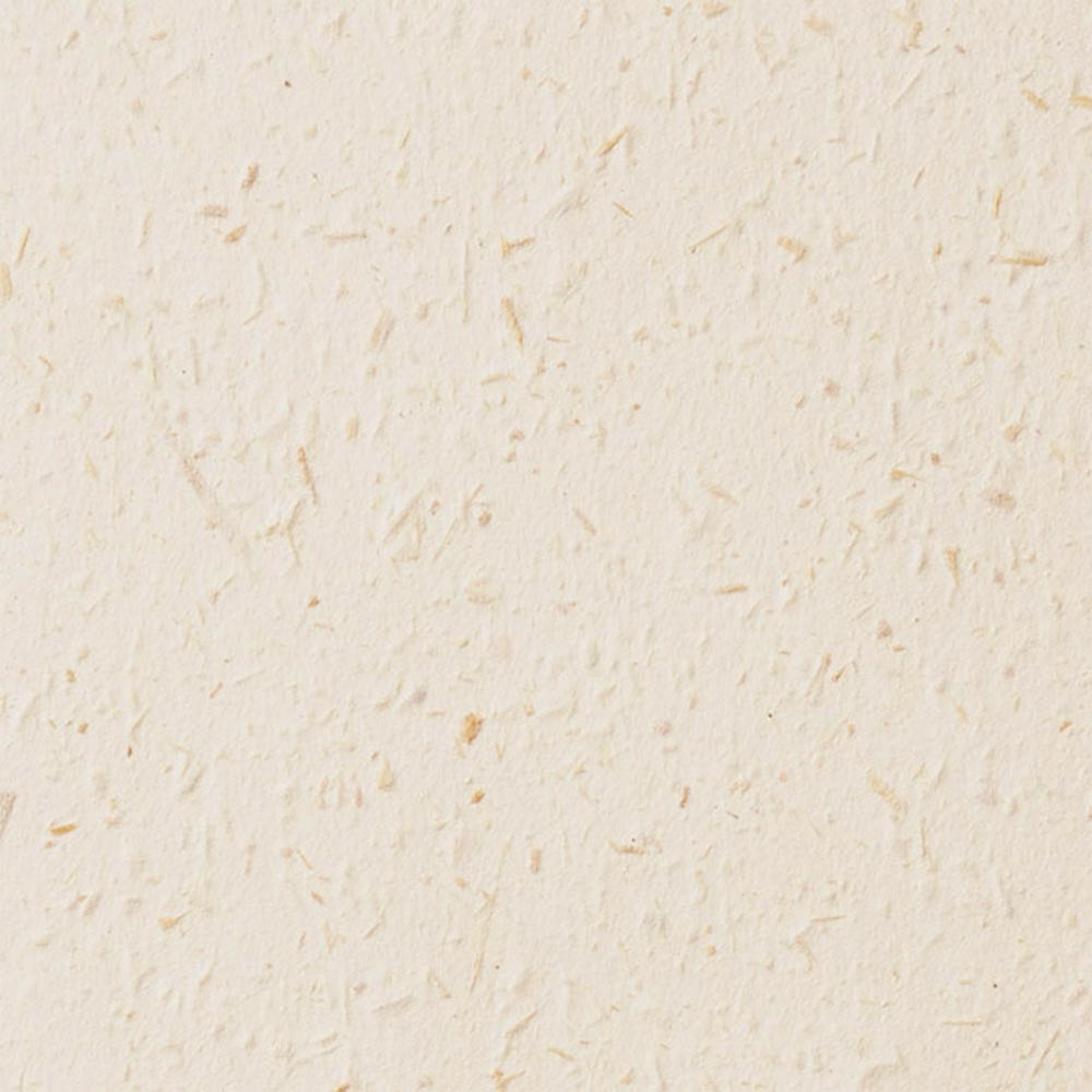 SGM-1113 壁紙 のりなし クロス / サンゲツ / エクセレクト 幅92cm 【1m単位切り売り】