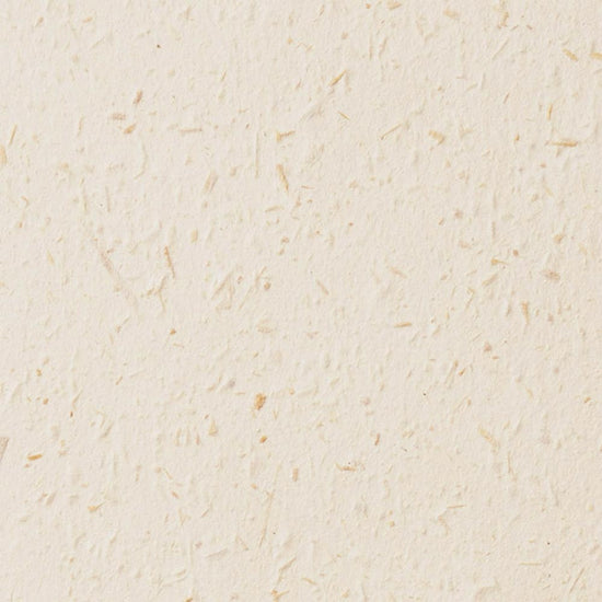 SGM-1113 壁紙 のりなし クロス / サンゲツ / エクセレクト 【サンプル】