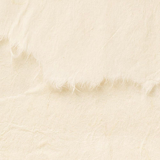 SGM-1138 壁紙 のりなし クロス / サンゲツ / エクセレクト 【サンプル】