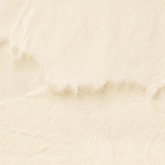 SGM-1138 壁紙 のりなし クロス / サンゲツ / エクセレクト 【サンプル】