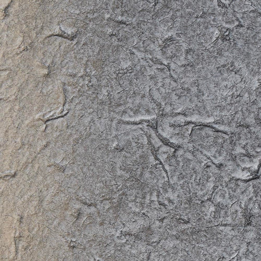 SGM-1160 壁紙 のりなし クロス / サンゲツ / エクセレクト 74cm×50cm 【1枚単位】