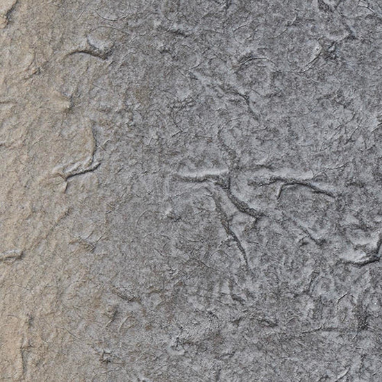 SGM-1160 壁紙 のりなし クロス / サンゲツ / エクセレクト 74cm×50cm 【1枚単位】