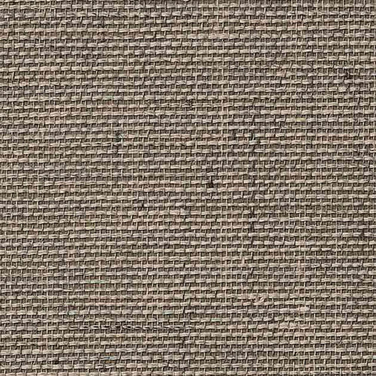 SGM-1373 壁紙 のりなし クロス / サンゲツ / エクセレクト 【サンプル】