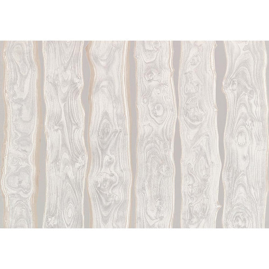 SGP1501 リピート