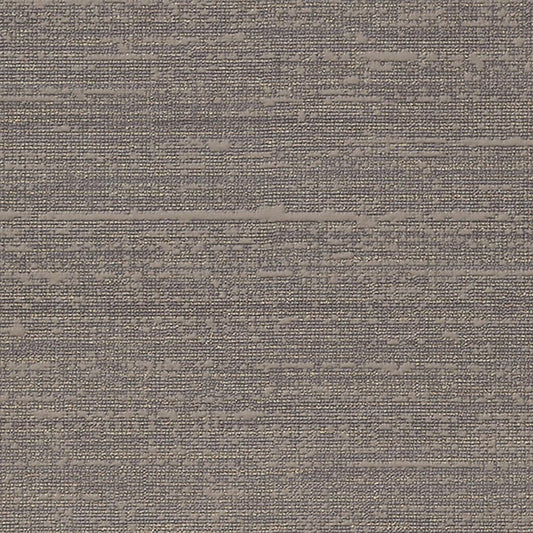 SGP-1540 壁紙 のりなし クロス / サンゲツ / エクセレクト 【サンプル】