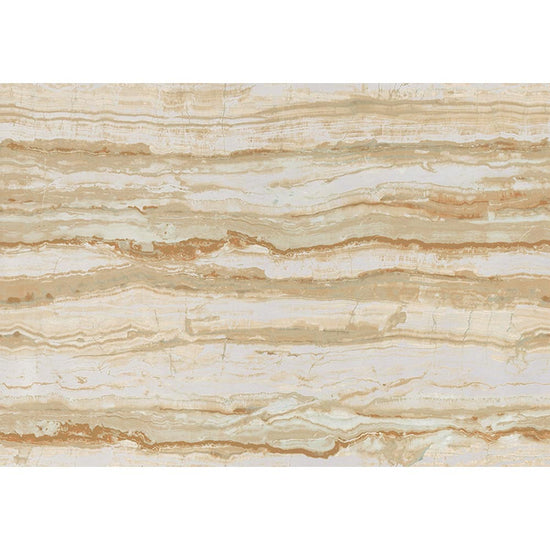 SGP1558 リピート