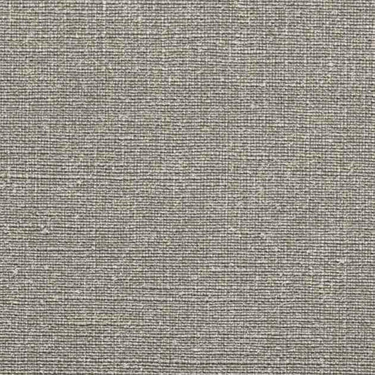 SGP-1579 壁紙 のりなし クロス / サンゲツ / エクセレクト 【サンプル】