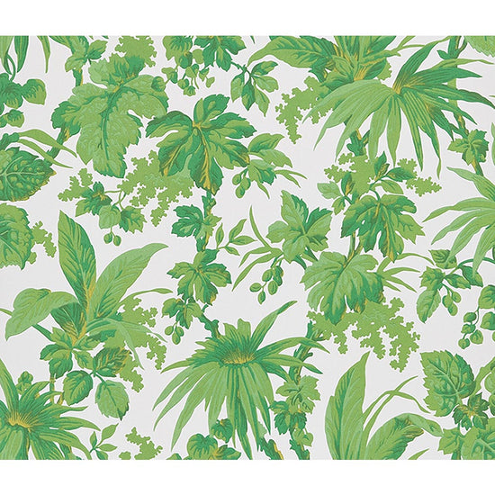 SGP1603 リピート